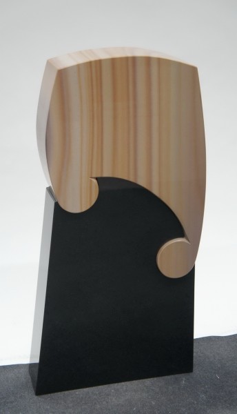 E367 Edition Verloren aber verbunden