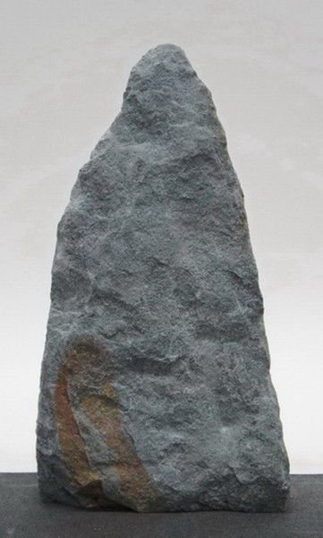 Borealis Light BLI23538