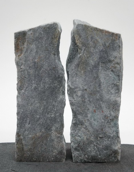 Borealis Light BLI22199