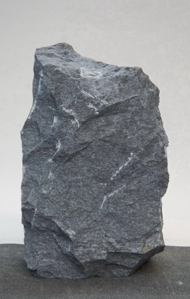 Bleu des Alpes BLA22163