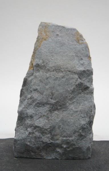 Borealis Light BLI22330