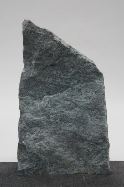 Borealis Light BLI22602