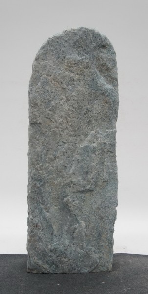 Borealis Light BLI23387