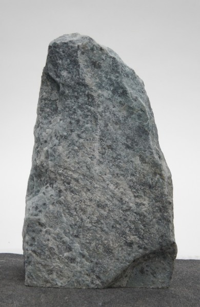 Borealis Light BLI22424