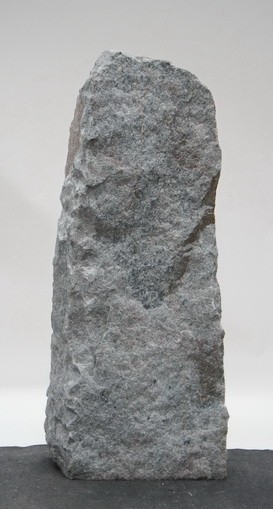 Borealis Light BLI24033