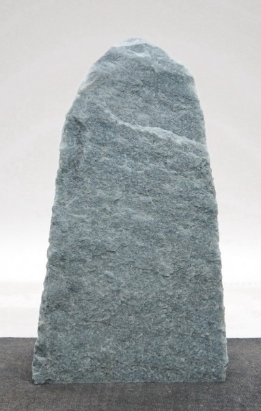 Borealis Light BLI22701