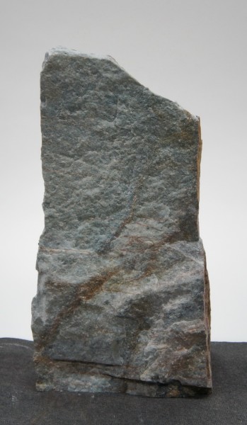 Borealis Light BLI22418