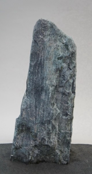 Borealis Light BLI22161