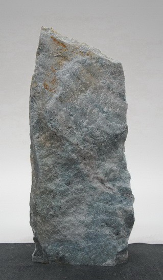 Borealis Light BLI24226