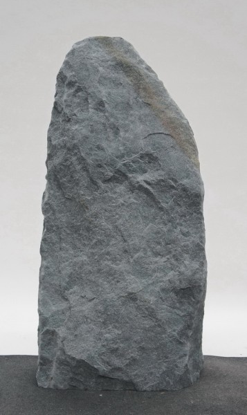 Borealis Light BLI23396