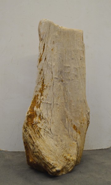Versteinertes Holz HZ16691