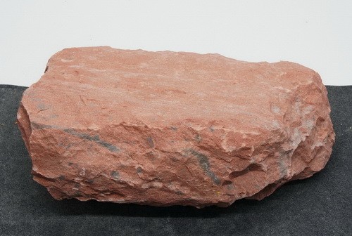 Cekla Red CE.RL23634