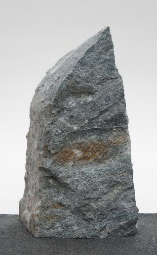 Borealis Light BLI23568