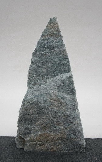 Borealis Light BLI24217