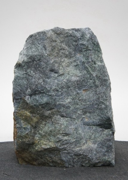 Borealis Light BLI22217