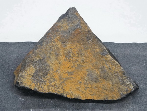 Schwed Schwarz SSI.L 23974