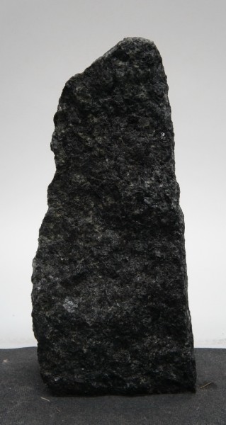 Ambassador Green AG22343