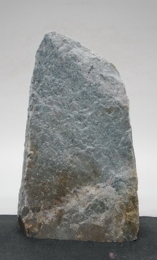 Borealis Light BLI24221