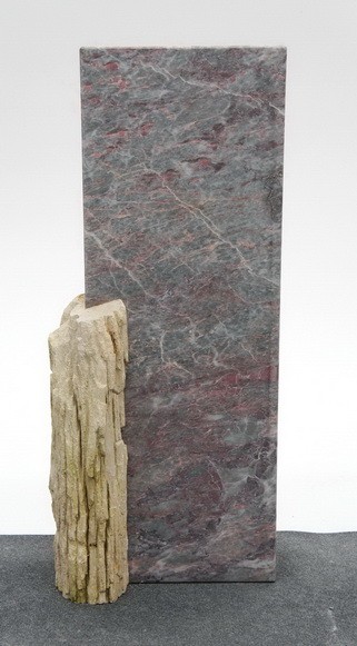 SALOME SA20836