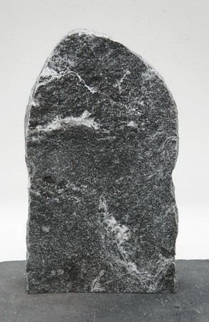 Maggia MA24156