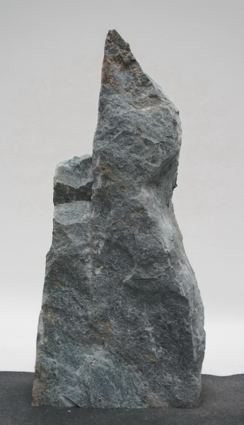 Borealis Light BLI23394