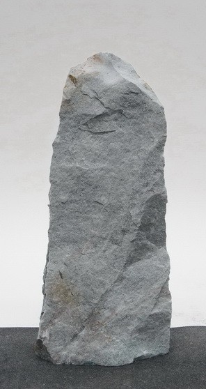 Borealis Light BLI23739