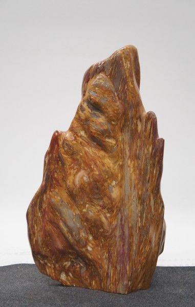 Versteinertes Holz HZ23183