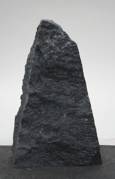 Bleu des Alpes BLA22340