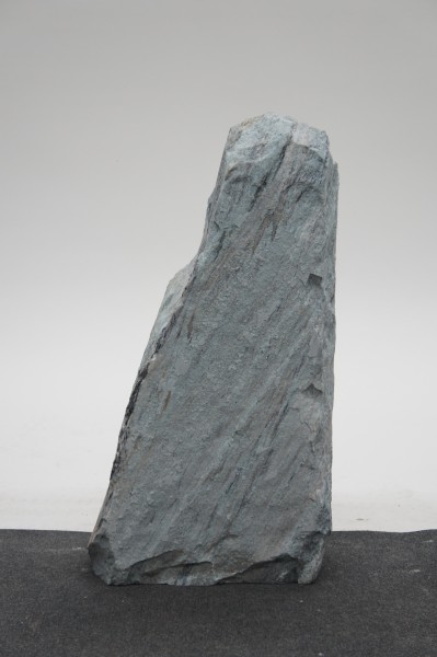 Borealis Light BLI23543