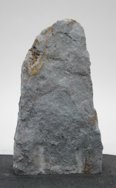 Borealis Light BLI22202