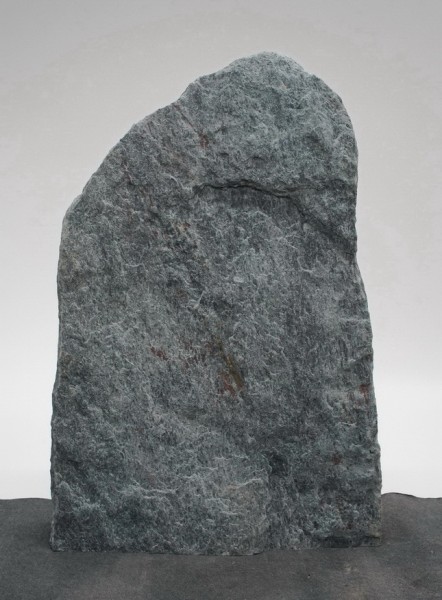 Borealis Light BLI22609