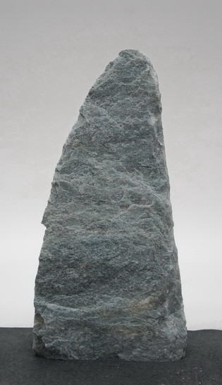 Borealis Light BLI24216