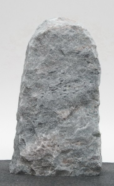 Borealis Light BLI23993