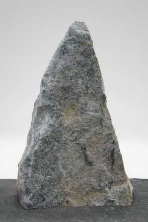 Borealis Light BLI24204