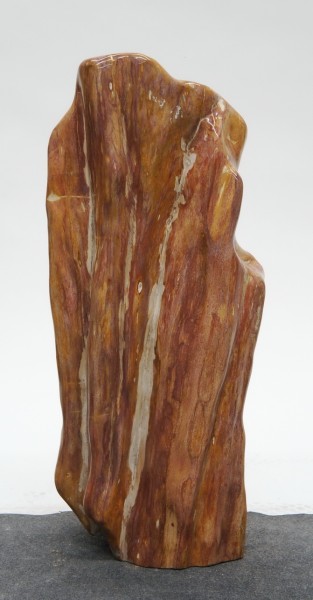 Versteinertes Holz HZ23841
