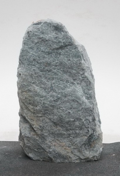 Borealis Light BLI23546